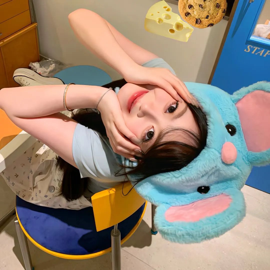 网美嬉游记